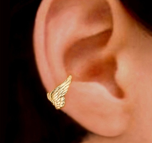 American Pratter beautifully small and playful and cute with its winged ears for ear-and-ear.