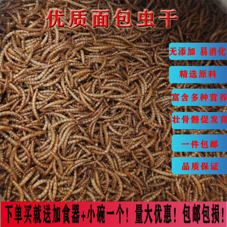 Snack feed Hedgehog grain Tenebrio mealworm Dried hamster grain Goldfish turtle grain Pet staple food