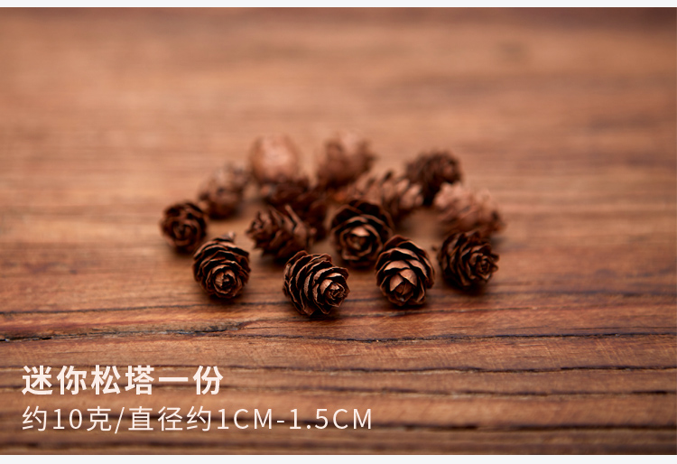 Pinecone acorn lá retro gió cổ Sensing nhiếp ảnh nhiếp ảnh ảnh đạo cụ trang trí nền trang trí đồ trang sức - Trang trí nội thất decor phòng ngủ
