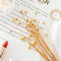 Happy Flowers dry flower Photography Pendulum Swatts ornaments Decorative Background Breakfast Cake Gourmet Shooting PHOTO PROPS FLOWERS