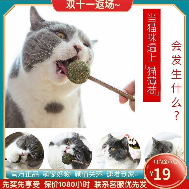 Cat lollipop, mint ball, Tmall, grass cat snacks, teasing cat stick grinding rod rods kitten toy products mint