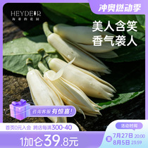 Heidis Garden Huangglan Yellow Horn Orchid White Orchid Sichuan native plant heat-resistant fragrance flower sapling potted plant