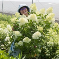 Летняя красавица 21