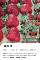 Черные бусины, 15см