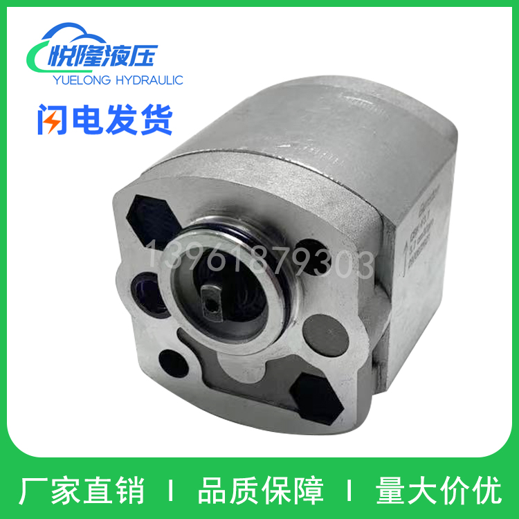 Lift hydraulic micro gear pump CBK-F4 8 1 2 1 6 3 2 2 5 0 63 5 8 3 7 42