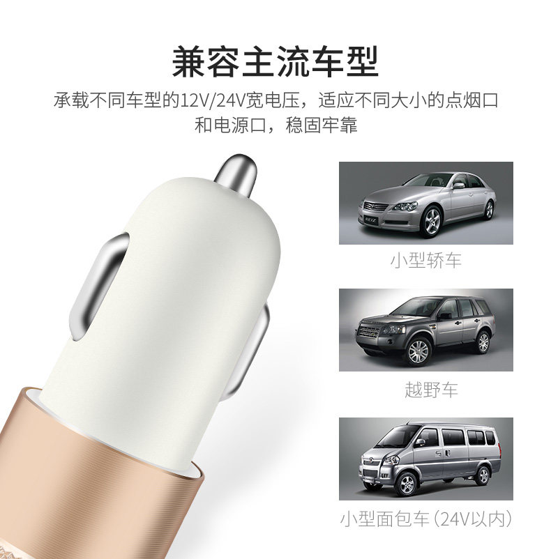 chargeur MKING 2A - Ref 1300444 Image 9