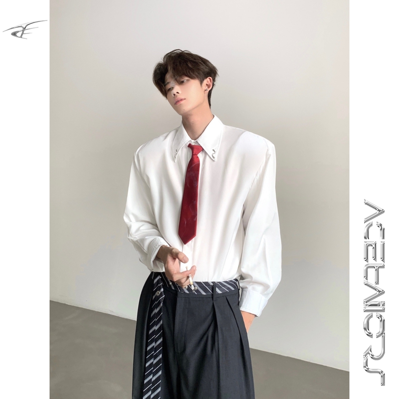 Ace' Niche Minimalist Ascetic Style Tie Shirt for Men, High-End Spring and Autumn Casual Handsome Drape-Free Long-Sleeve Shirt