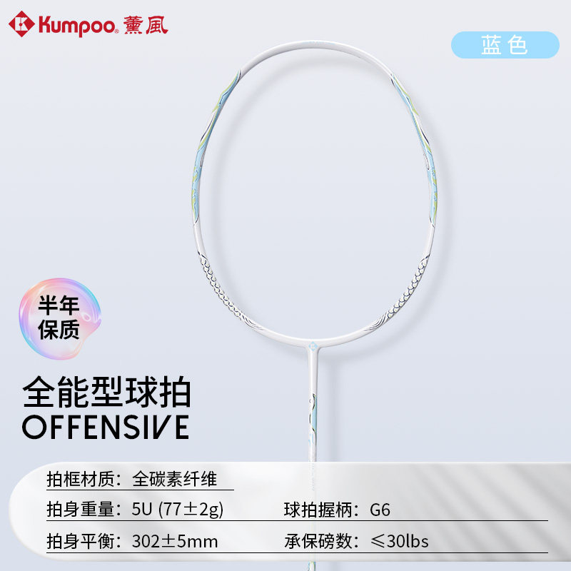 薰风旗舰店2025入门羽毛球拍5U碳素纤维超轻拍羽拍熏风大鱼DS-203