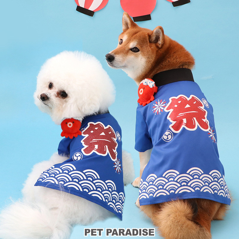 Japan's pet paradise pet dog clothing transformation series summer