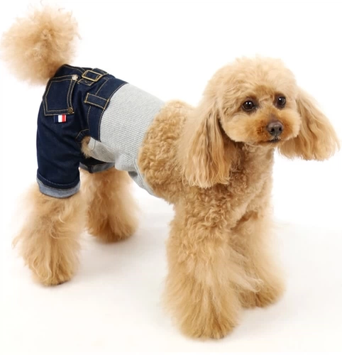 Японская япон Pet Paradise FG Series Denim Denim Брюки биологические штаны