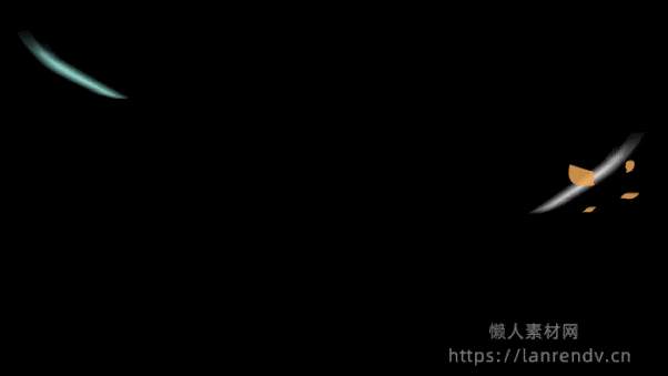 13.gif
