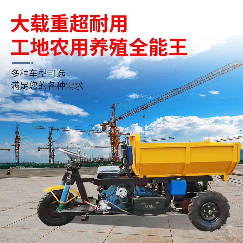 Diesel tricycle breeding agricultural dump dump truck project load Wang small four-wheeler electric tricycle