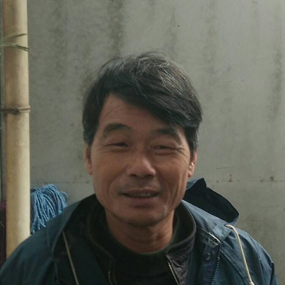 树先生的店阿