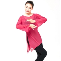 Dance suit ballet dancer Classical Dance Gymnastics Body Mesh Yarn Dancer Dance Blouse Adult Elastic Mesh Yarn Dress