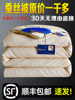 Authentic Silk Quilt 95% Mulberry Silk Spring and Autumn Quilt Air-Conditioning Quilt All-Cotton Double Student Quilt Thickened Winter Quilt