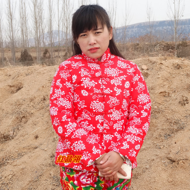 Ethnic style ladies adult pure cotton antique printed cloth handmade cotton padded jacket stand-up collar buckle double-breasted winter padded clothes