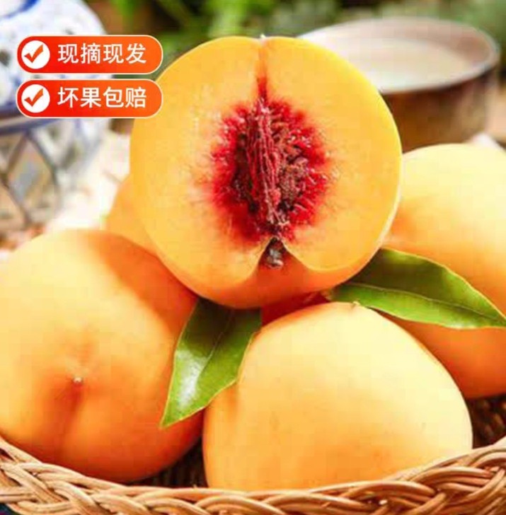 湖南炎陵黄桃果园直销