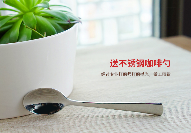 Tama xương tách cà phê china và chiếc đĩa đặt thanh lịch đơn giản đồ dùng cà phê Châu Âu trà buổi chiều cup với muỗng cà phê phin cafe inox cao cấp