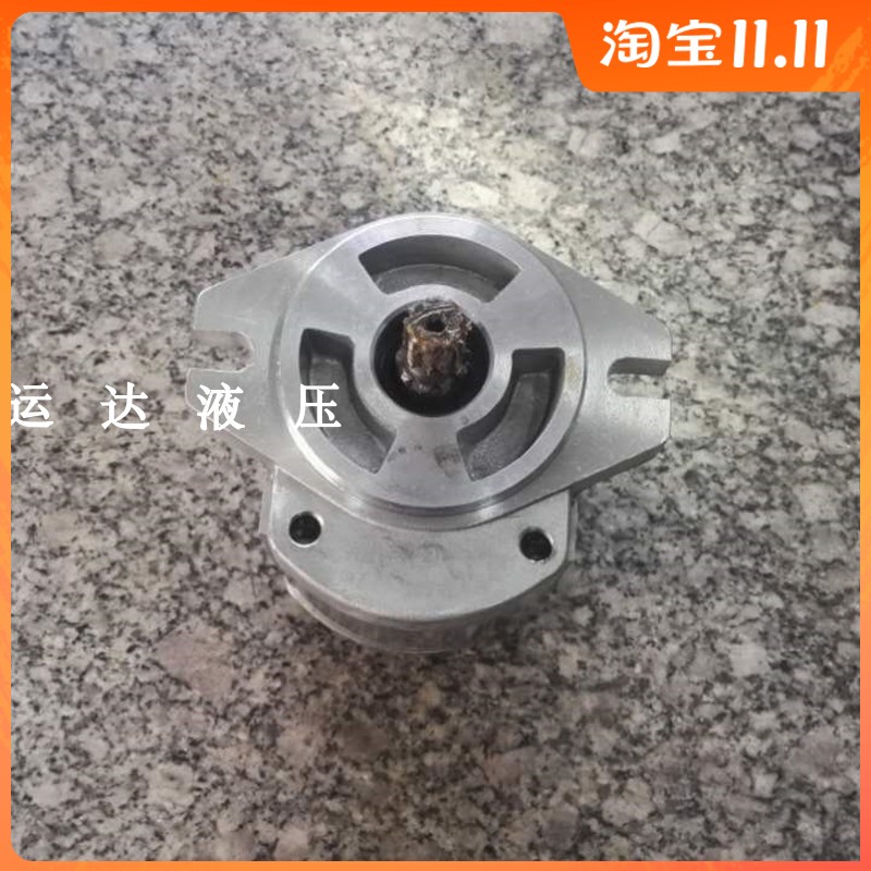 Hyde sanitation vehicle gear pump oil pump CBD-F308L20S1 9-tooth spline sanitation auto parts