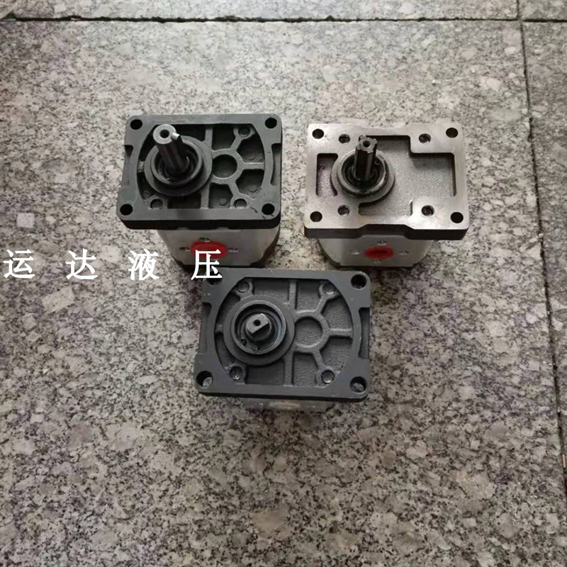 High pressure gear pump oil pump CBW-F310CFH CBT-F306 CBN-F310 left-handed right-handed