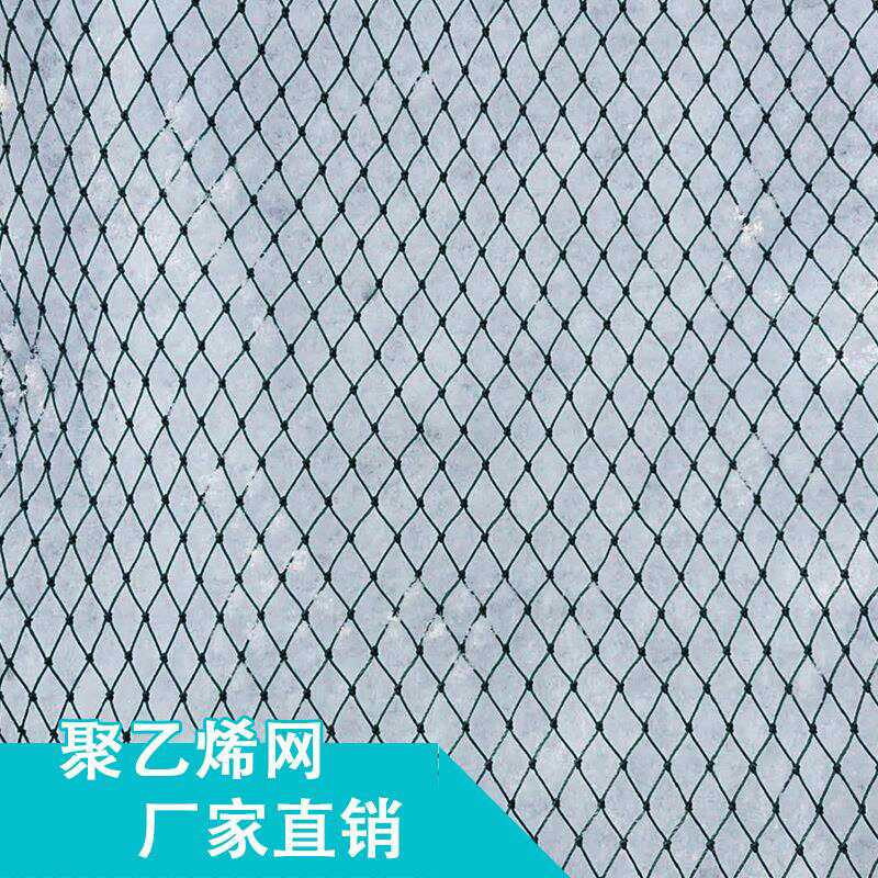 Small Chicken Network Fencing Rangers Nets Breeding chicken farms Private network Nets Nets nets Nets Poultry Nets Bird-proof nets Climbing Vines Nets