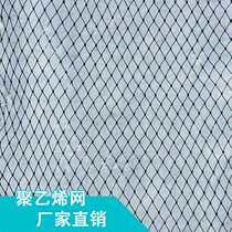 Small Chicken Network Fencing Rangers Nets Breeding chicken farms Private network fishing nets Nets Lifted Nets Poultry Nets Anti Bird Nets Climbing net