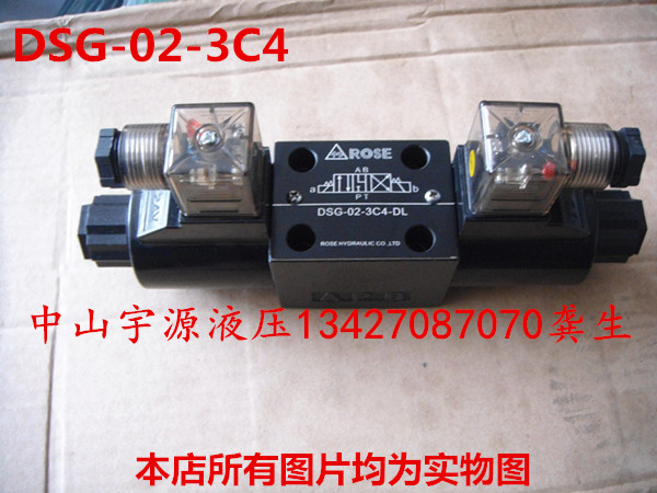DSG-02-3C4 3C2 3C3 3C6 2B2 2B3B-DL hydraulic solenoid valve ROSE hydraulic valve