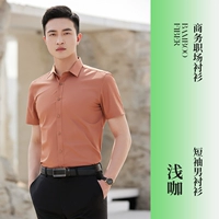 Цветная рубашка, короткий рукав