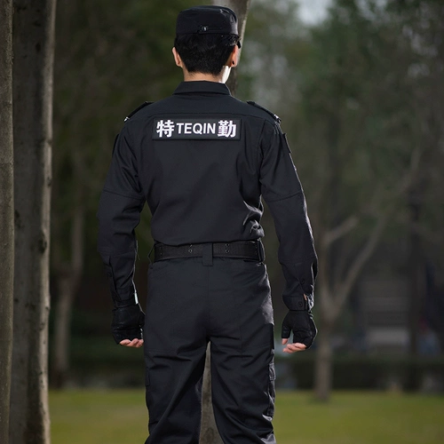 Демисезонный лонгслив с молнией, комплект для отеля для работы