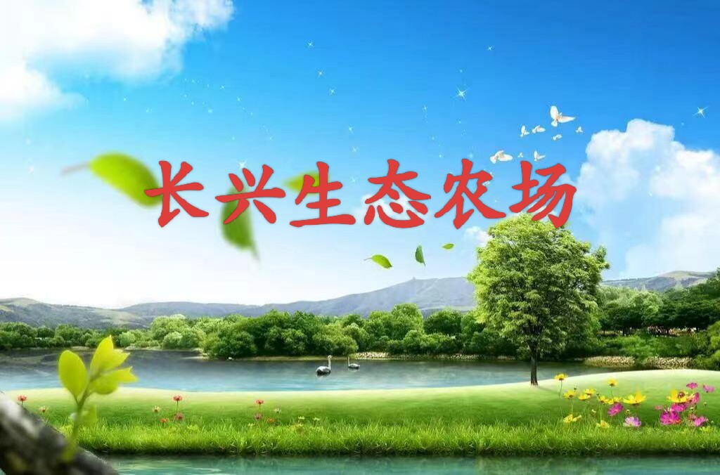 长兴田源生鲜店
