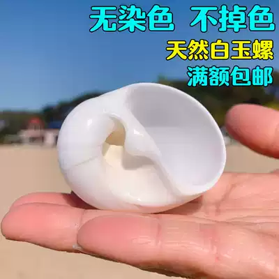 Curly shellfish hermit crab spare replacement shell White Jade snail white cat eye snail natural conch fish tank landscaping decoration decoration