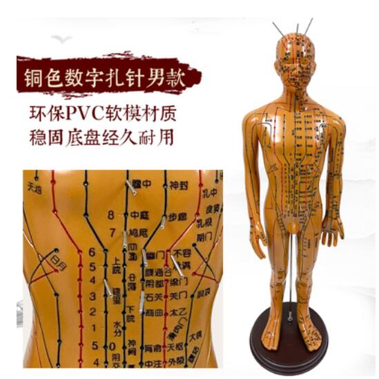 针灸穴位人体经络模型人中医按摩全身可扎针铜人小皮人络通图家用