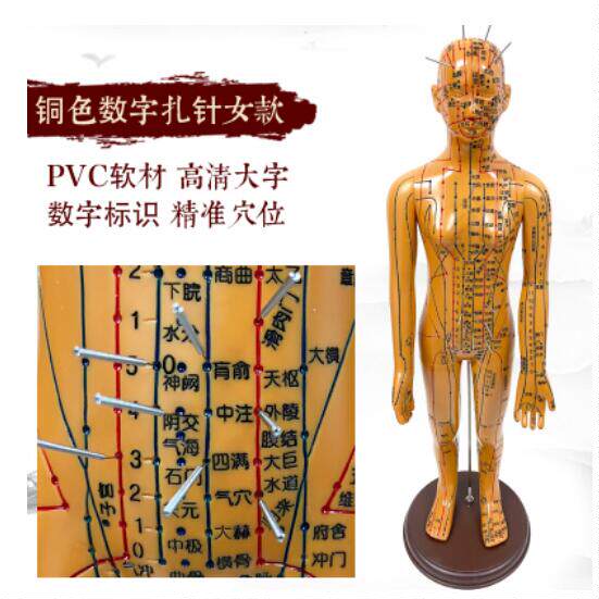 针灸穴位人体模型可扎针经络全身图小铜人模特大真人十二人形练习