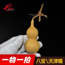 Boutique Tianjin mouth natural small hand twist gourd Wen playing iron bag gold one figure an image 8 Bao to play the little American gourd
