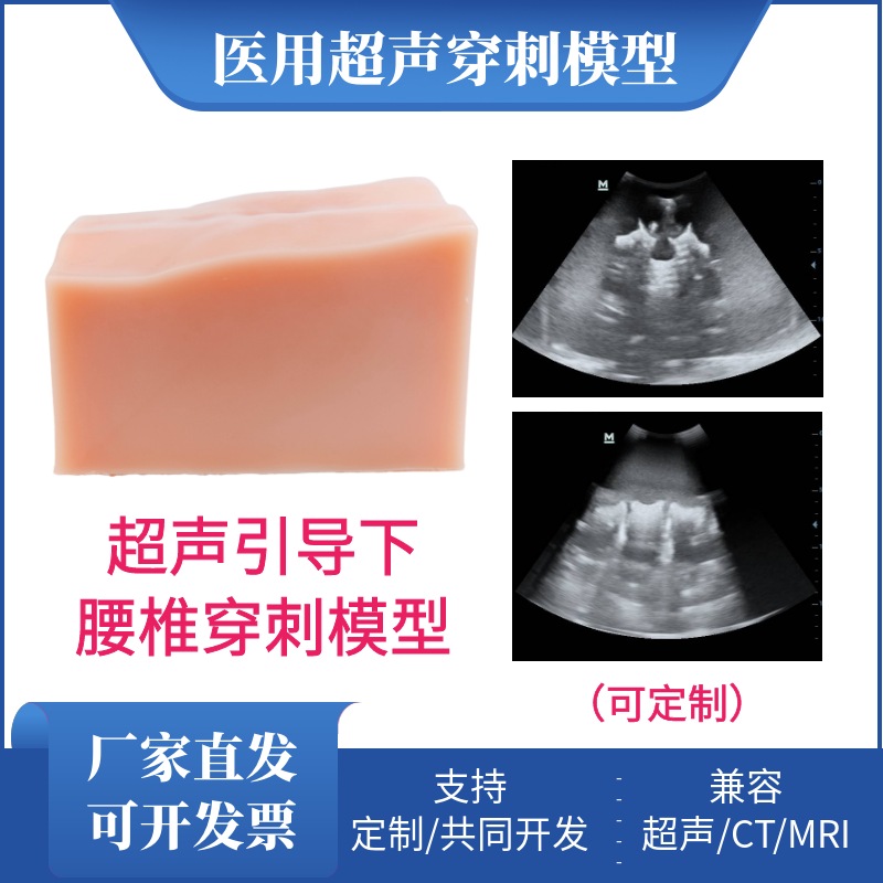 超声引导腰椎穿刺模型脊椎骨性锥体注射医学练习L1-L5骶骨可定制