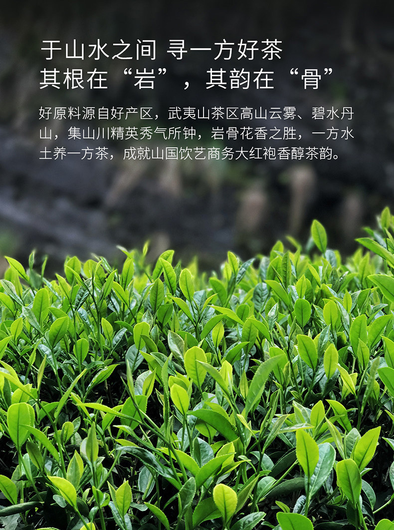 山国饮艺 武夷山浓香大红袍 500g 礼盒装 图7