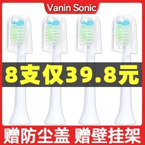 Adapted zibe electric toothbrush head adult replacement H1 H3 toothbrush replacement head