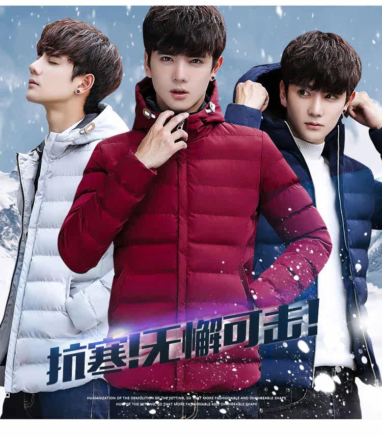 Blouson chaud pour homme      en Polyester - Ref 3112559 Image 8