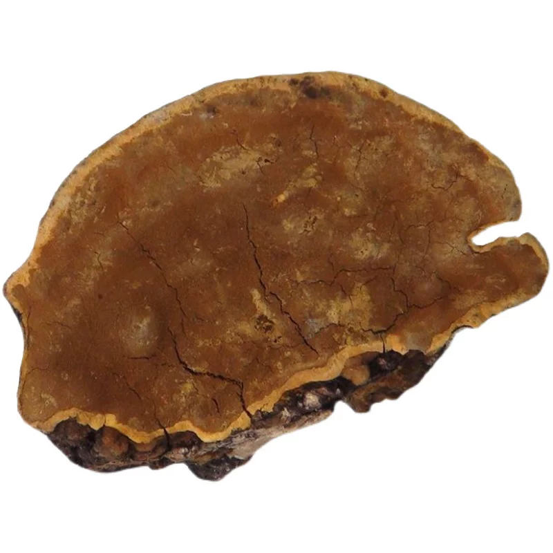 Подлинный нектар, шелковица, плоды шелковицы, плоды Ganoderma lucidum тибетский крупный груз 250 г