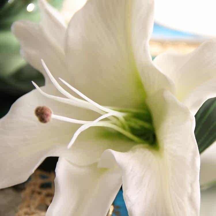 ��Ӱ������֦pu�ٺϷ��滨gyyxjh-55