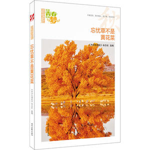 我的青春我的梦：（秋）忘忧草不是黄花菜（品读全国中学生校园作文精品，练就超强写作能力）