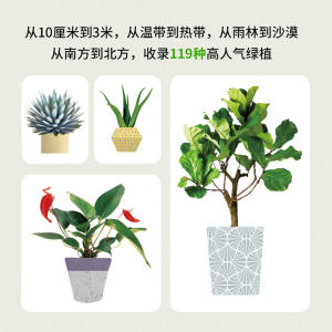 DK绿植杀手变达人[精装]