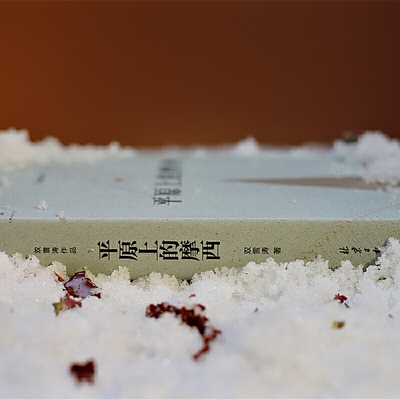 【当当网 正版书籍】平原上的摩西 小说家双雪涛著全新典藏版同名电影2021年上映