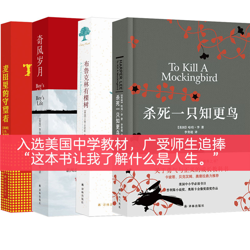 Dangdang.Com Collection of Coming-Of-Age Novels (4 Volumes in Total! to Kill a Mockingbird + a Tree Grows in Brooklyn + the Catcher in the Rye + the Outsiders) Authentic Books