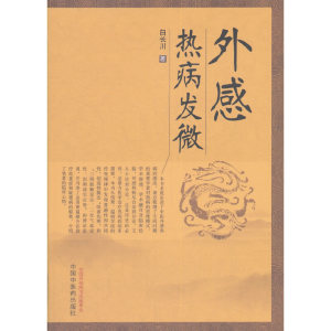 外感热病发微