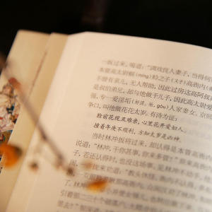 西游记 全2册，无删减，四大名著， 部编初中语文教材（七年级上）指定阅读书系