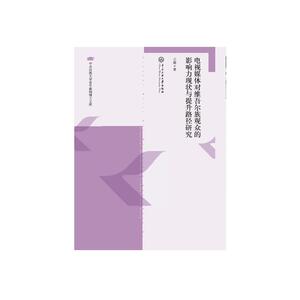 电视媒体对维吾尔族观众的影响力现状与提升路径研究