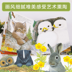 亮丽精美触摸书：小熊波比