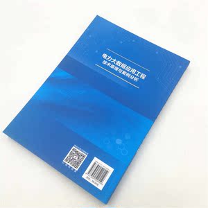 电力大数据应用工程技术原理与案例分析