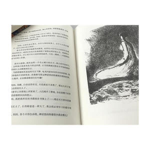 飞鸟集